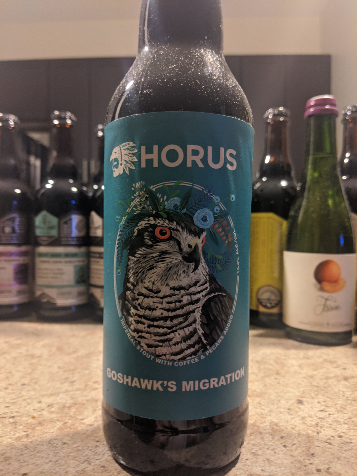 horus aged ales goshawk"s migration