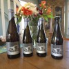 Hill Farmstead -- Clover -- Complete Vertical Set