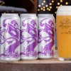 Tree House -- Haze DIPA -- May 14th