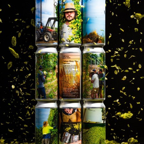 ***1 Can Tree House Nelson Many Ways - Eggers Hops***