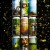 ***1 Can Tree House Nelson Many Ways - Eggers Hops***