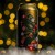 Tree House Brewing 4 * GIFT OF HOPS - 4 CANS 12/12/2024