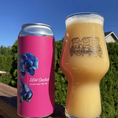 Fidens Orchid ddh