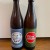 Pliny the Younger and Pliny the Elder