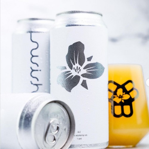 Trillium + Bissell Brothers -- Swishium -- June 26th 2024