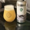 Monkish -- Foggier Window -- Jan 22nd