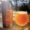 Tree House -- Julius -- June 17th