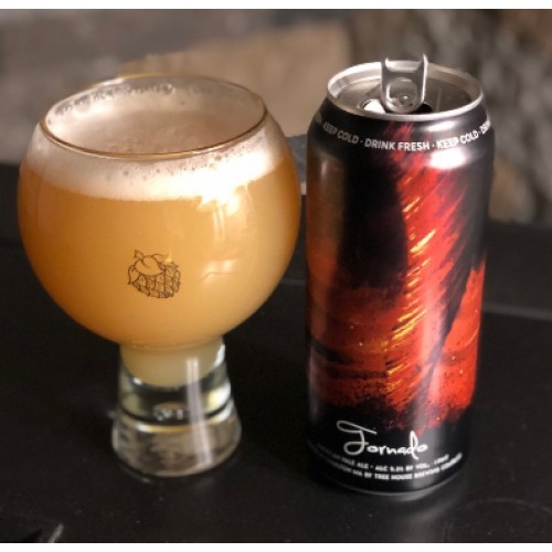 Tree House -- TORNADO -- July 2nd