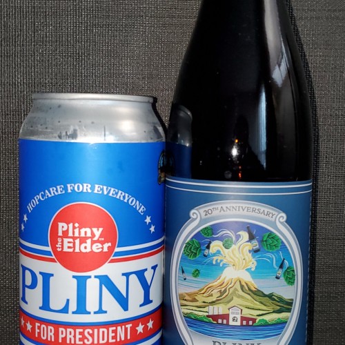 2024 Pliny the younger and pliny for president