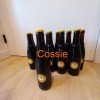 12 bottles of Westvleteren 12