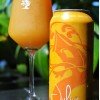 Tree House -- Julius -- June 17th