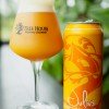 Tree House -- Julius -- June 17th