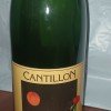 1 bottle (75cl) of CANTILLON Fou Foune 2015