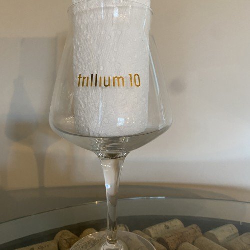 Trillium Brewing 10th Anniversary Teku Glass ~ New