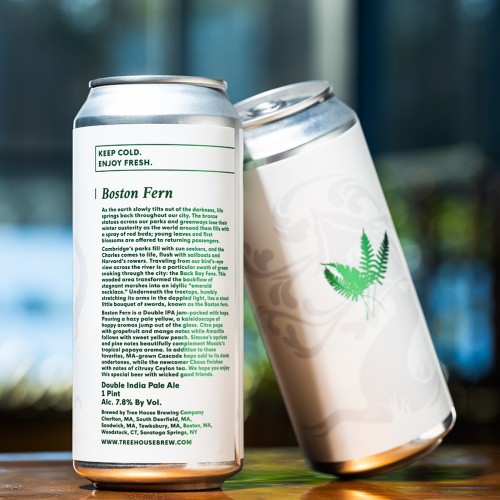 Tree House Boston Fern  [4-Pack] DIPA