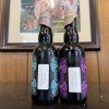 Free Shipping - Eighth State Microcosm Bottles