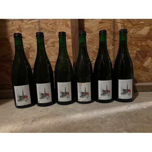 Lot of 6 Cantillon Grand Cru Bruocsella