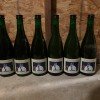 Lot of 6 Cantillon Gueuze