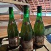 1 bottle (75cl) of CANTILLON Lou Pepe Geueze 2023 - Latest !