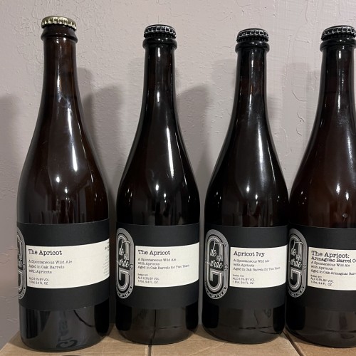 Twelve Bottle Lot - de Garde Brewing - All Stone Fruit