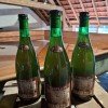 3x bottles (75cl) of CANTILLON Lou Pepe Geueze 2023 - Latest !