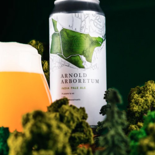 ***1 Can Trillium Arnold Arboretum***