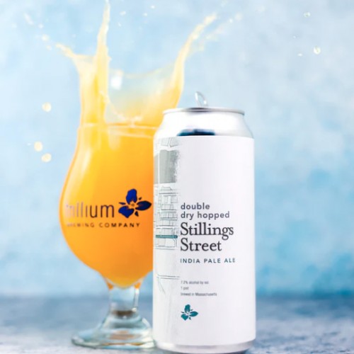 ***1 Can Trillium DDH Stillings Street***