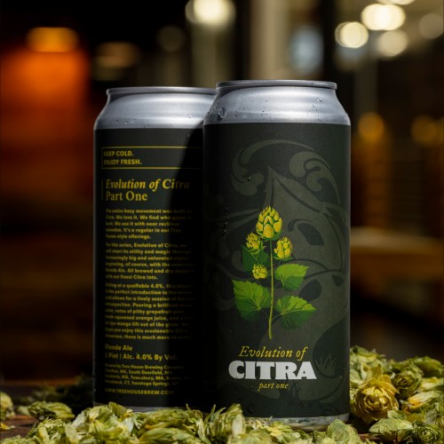 Tree House -- Evolution of Citra Part One -- Dec 31st 2024