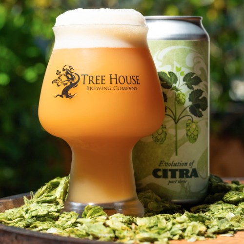 ***1 Can Tree House Evolution of Citra Part 3***