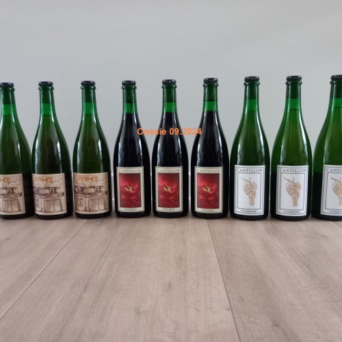 9 bottles CANTILLON - 50N4E, Sang Bleu & Vigneronne