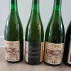 9 bottles CANTILLON - 50N4E, Sang Bleu & Vigneronne