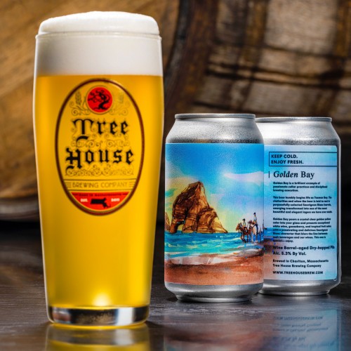 Tree House -- Golden Bay -- Nov 29th